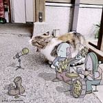 29407786612_78726484be_o