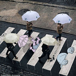 29436352511_9527fb1039_o