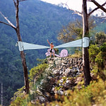 29482340786_57fb6b4e81_o